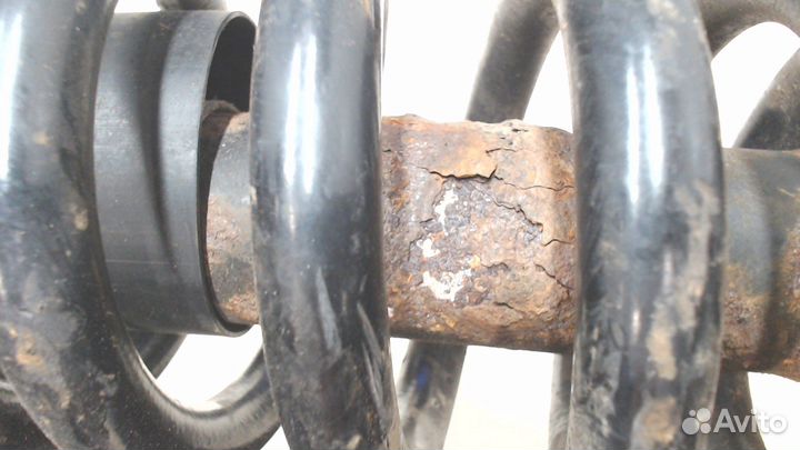 Амортизатор подвески Lincoln Navigator, 2007