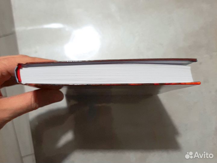 Халед Хоссейни бегущий за ветром