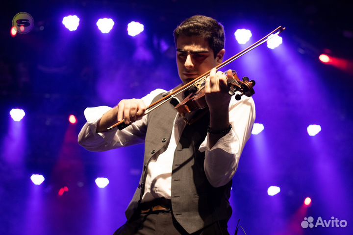 Скрипач - праздник