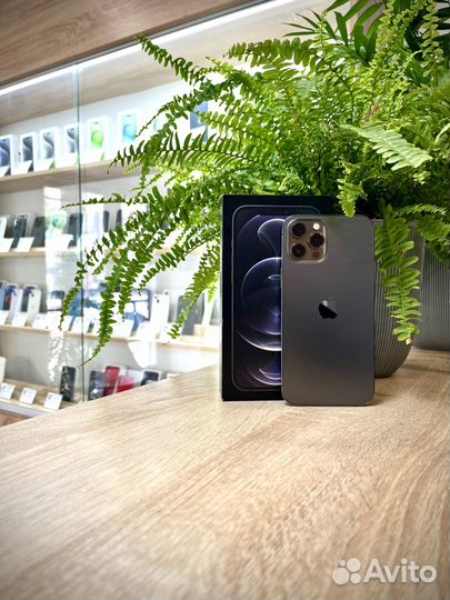 iPhone 12 Pro Max, 128 ГБ