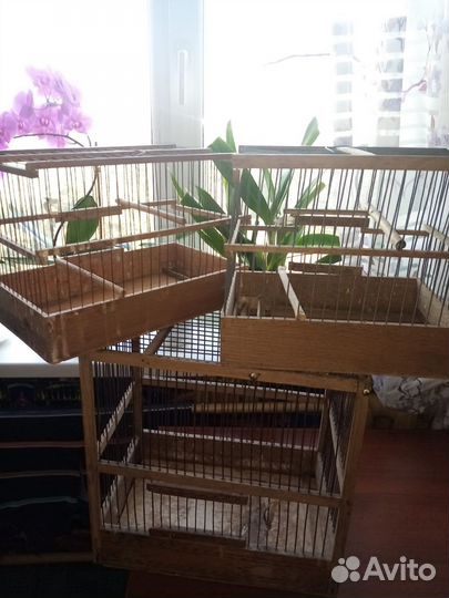 Клетки для птиц и переноска