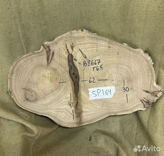 Спил карагача