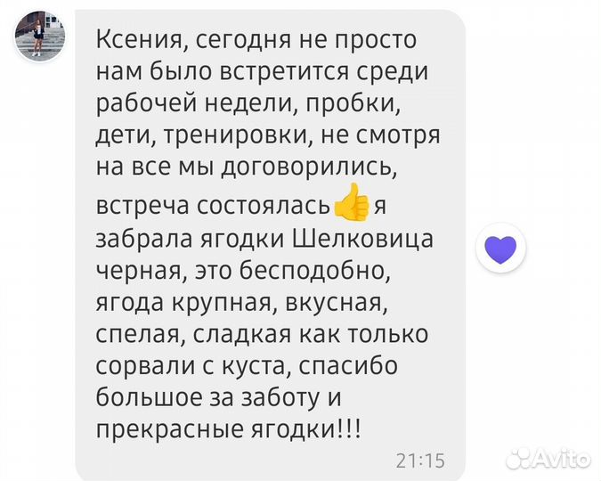 Шелковица из армении