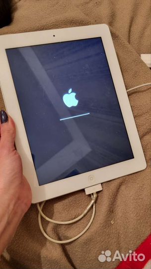 iPad