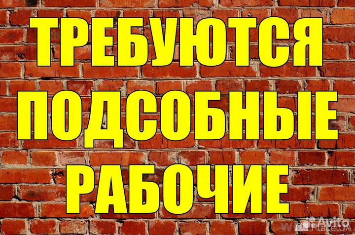 Клининг (на склад )