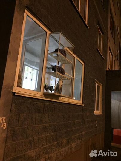 Кошка на окошке (балкон для выгула кошек)