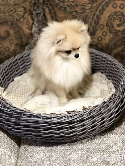 Лежанка из ротанга