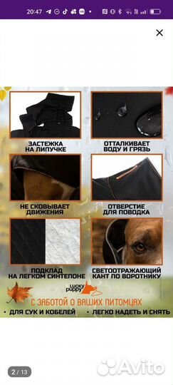 Попона для собак