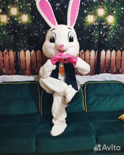 Ростовой плюшевый заяц, мультяшный костюм