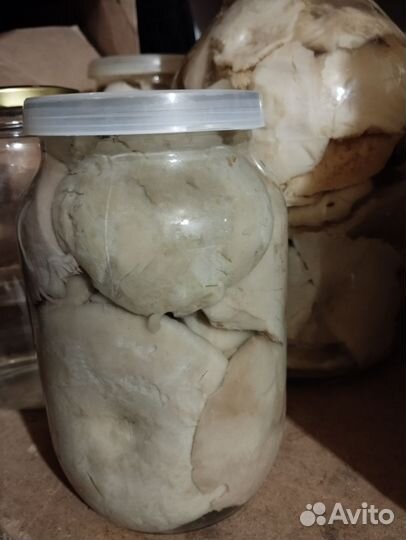 Грибы грузди соленые