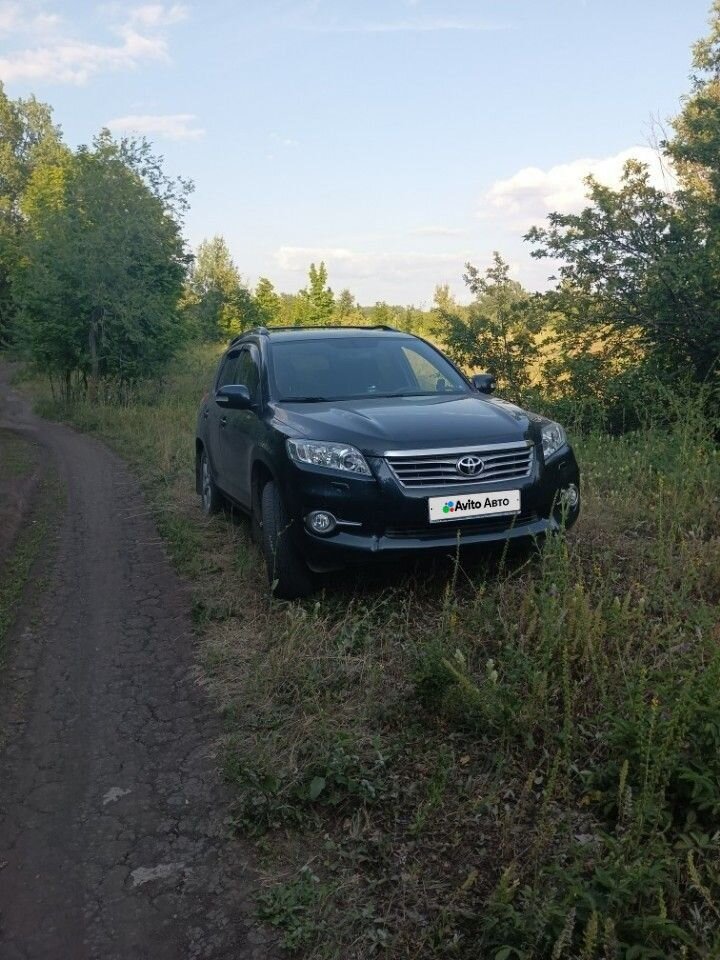 Toyota RAV4: фото владельца