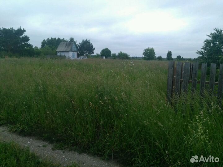 Покос травы триммером, спил деревьев