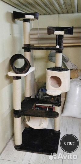 Большие котокомплексы, когтеточки