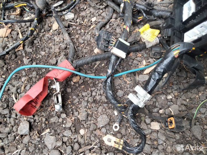 Подкапотная проводка Ssangyong Actyon New D20DTF