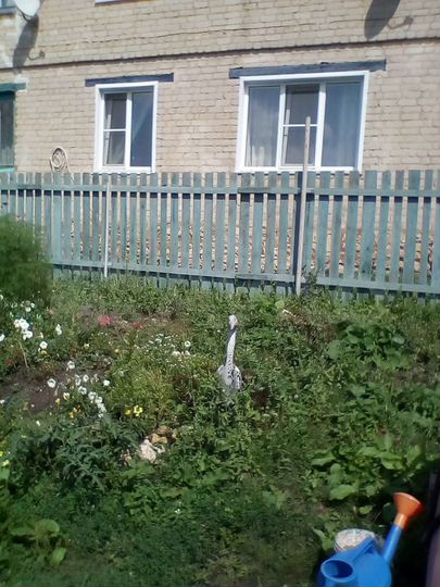 2-к. квартира, 41 м², 1/2 эт.