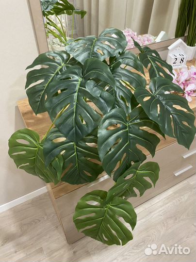 Монстера искусственная свисающая