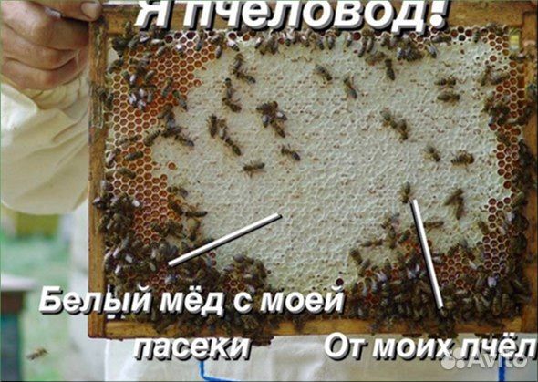 Отговорю покупать мед