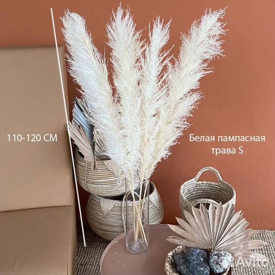 Пампасная трава Белая, Бежевая, Серая