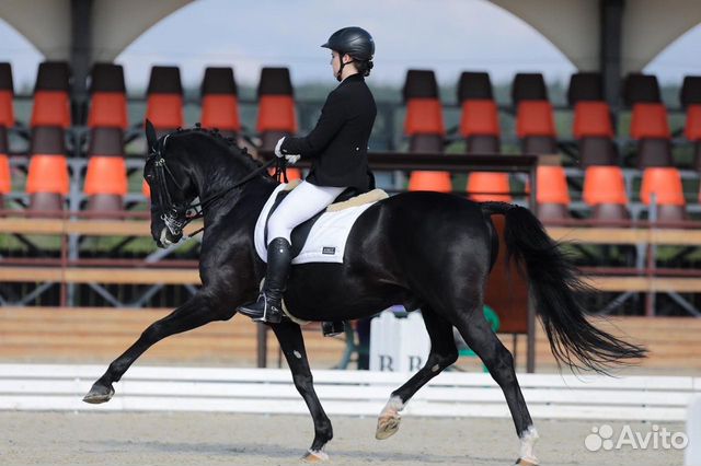 Занятия верховой ездой/выездка/берейтор