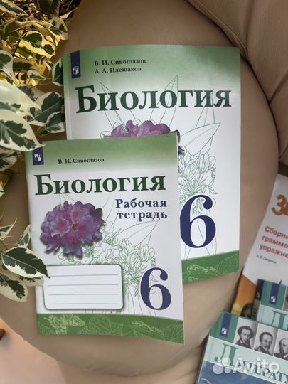 Учебники 6 класс