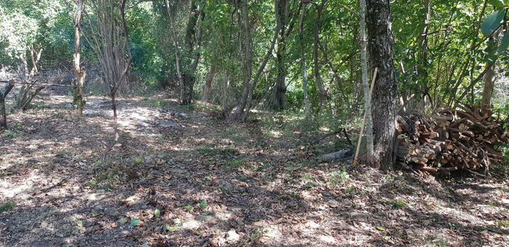 Участок 10 сот. (СНТ, ДНП)