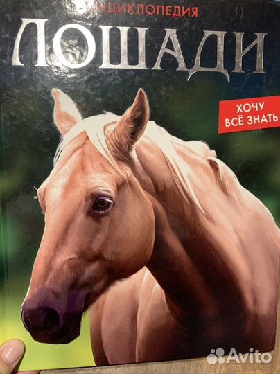 Лошади книга, энциклопедия