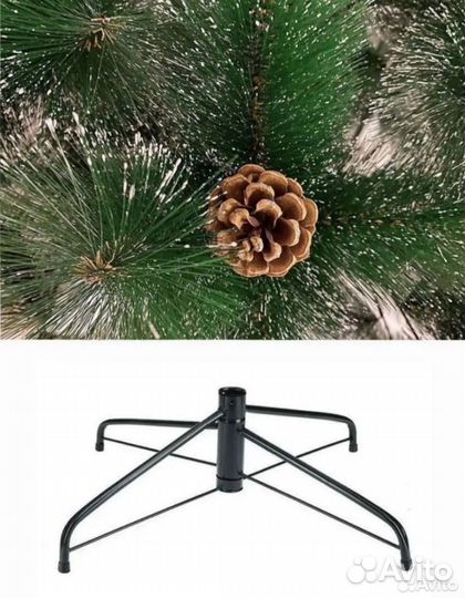 Сосна новогодняя