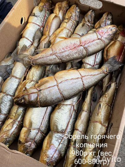 Рыба вяленая и копчёная