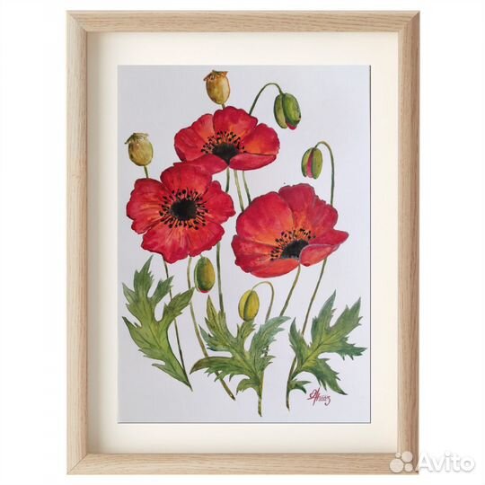 Картина Акварель 