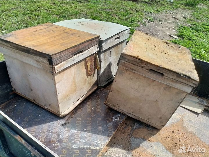 Продам пчелосемьи