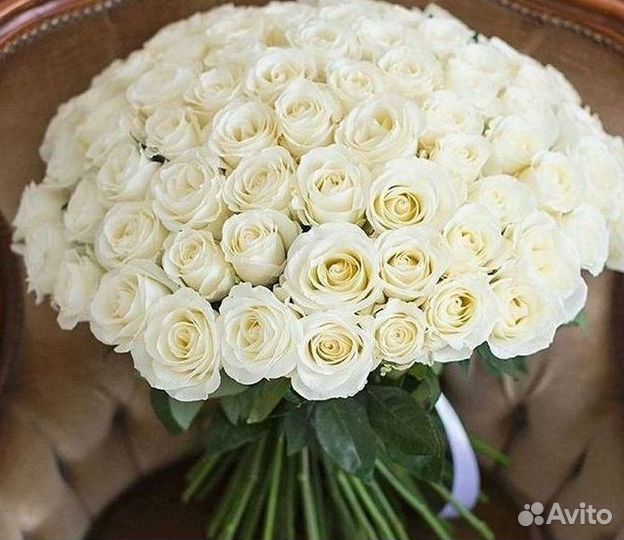 101 Роза Цветы Букеты 51 25 Роз Доставка