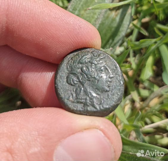 Монета Амис