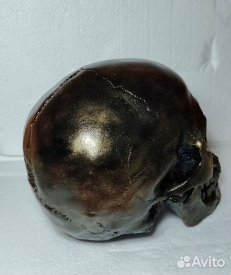 Череп декоративный