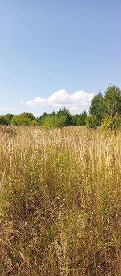 Участок 10 сот. (ИЖС)