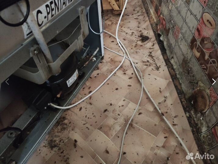 Уничтожение тараканов, травить клопов, обработка