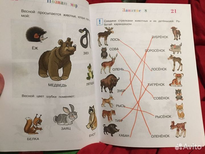 Рабочие нейротетради для дошкольников