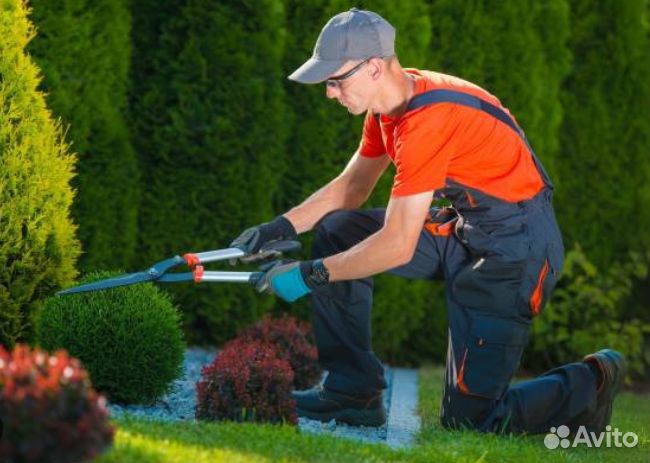 Требуется садовник озеленитель