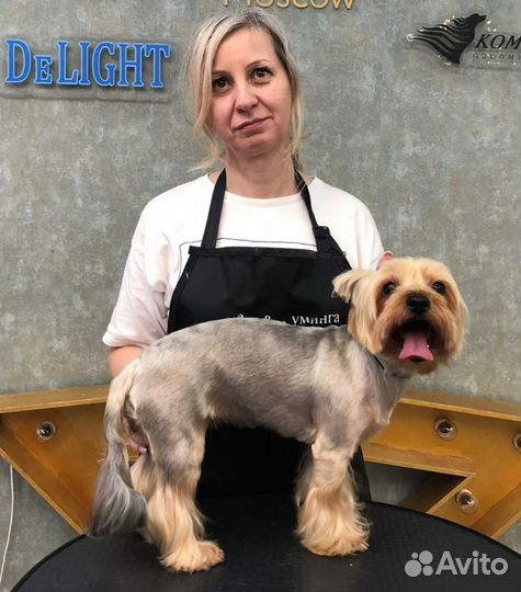 Грумер стрижка собак