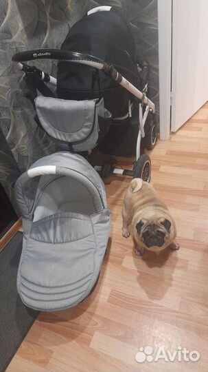 Коляска 2 в 1 adamex