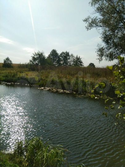 Участок 11 га (СНТ, ДНП)