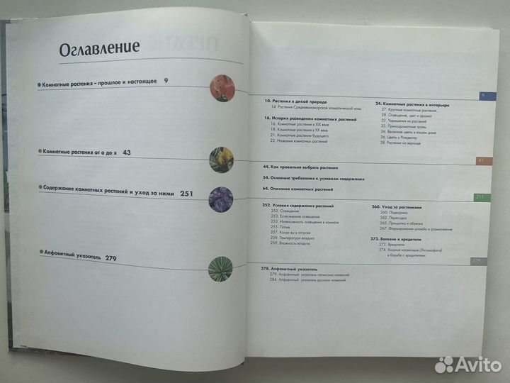 Энциклопедия комнатных растений