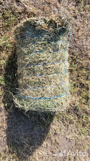 Сено в тюках