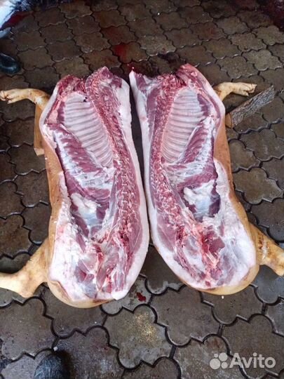 Домашняя свинина