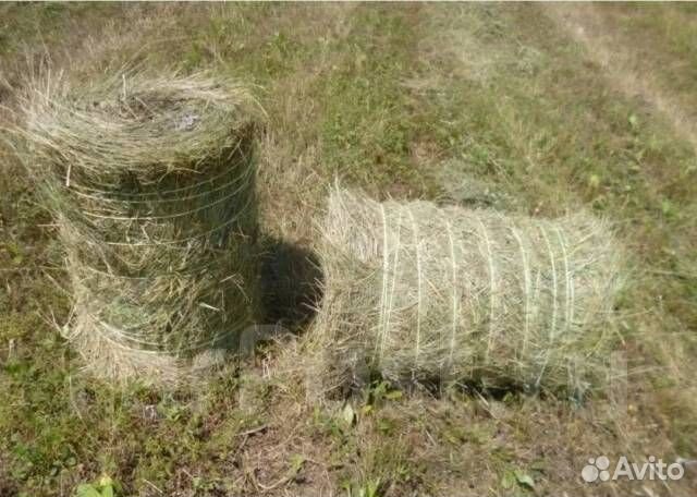 Сено в тюках