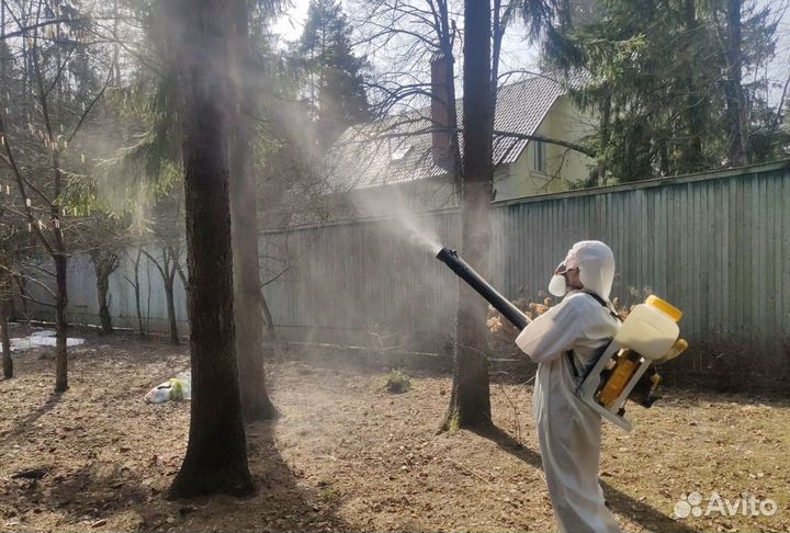 Уничтожение клопов/тараканов/слизней/короеда/змей