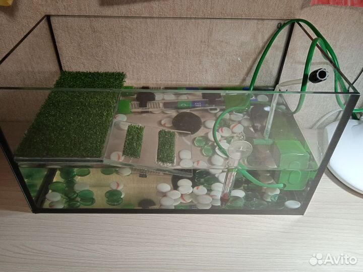 Террариум для черепахи
