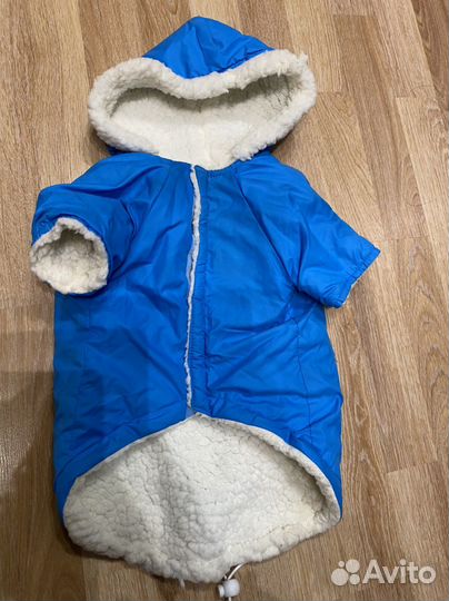 Одежда для собак