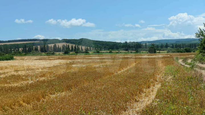 Участок 3,7 га (СНТ, ДНП)