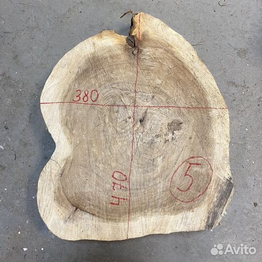 Торцевые спилы карагач массив дерева
