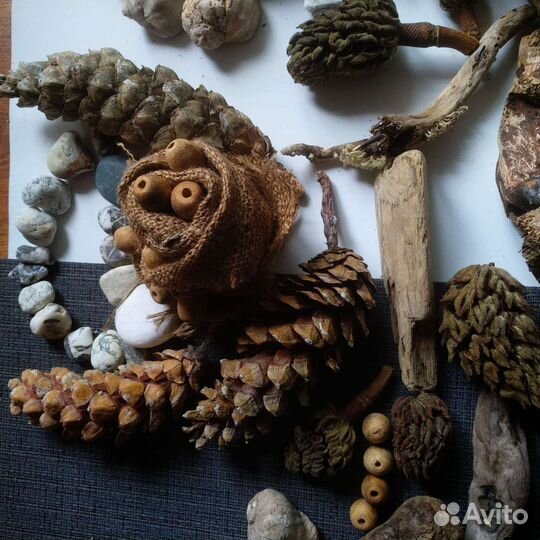 Дрифтвуд набор для творчества. Лот 43